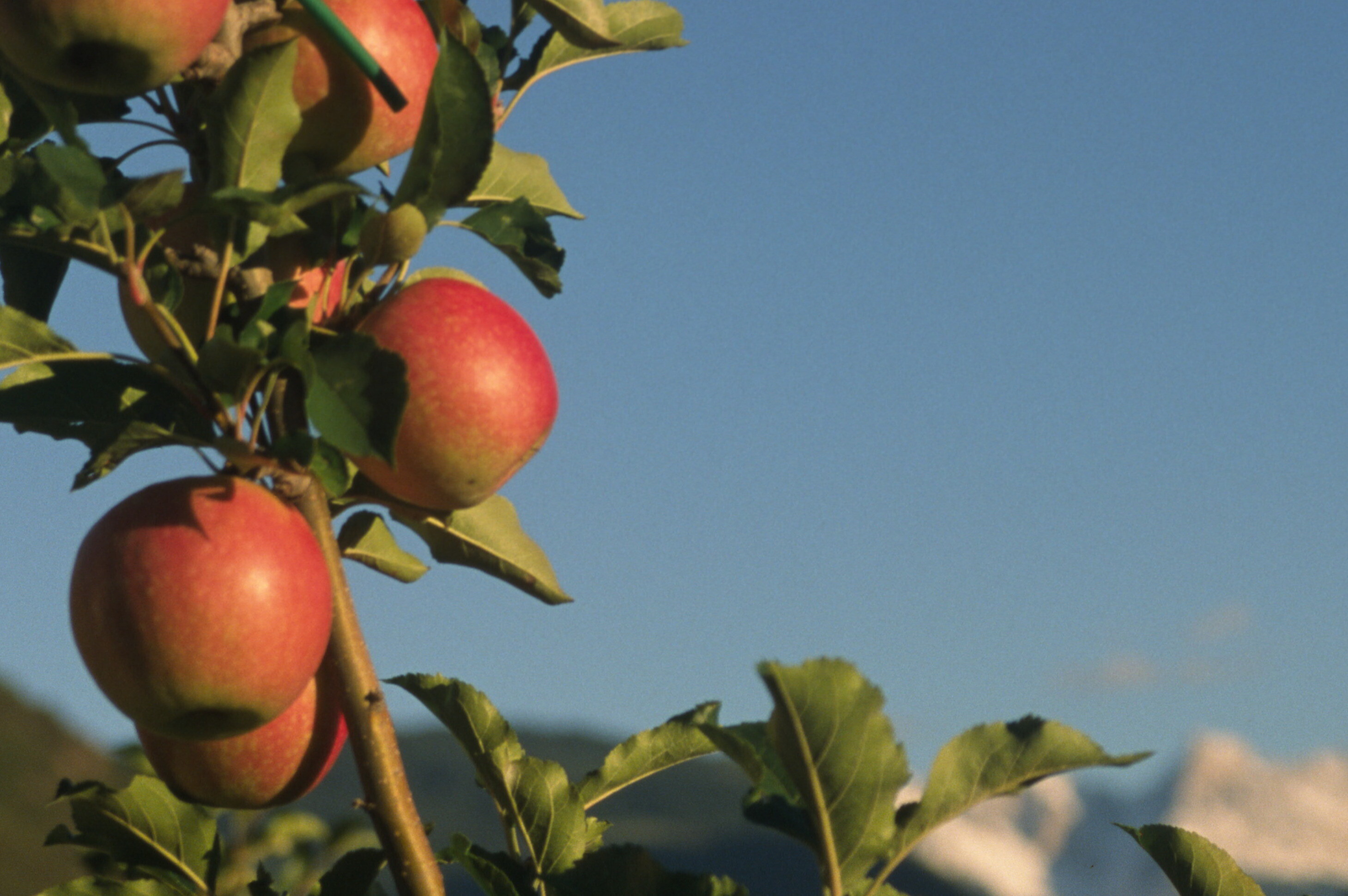 [Translate to Italienisch:] 