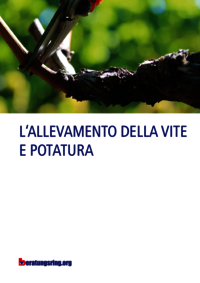 L'allevamento della vite e potatura