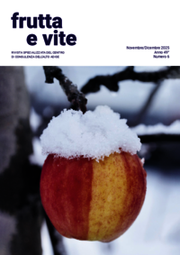 Novembre/Dicembre 2025