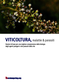 VITICOLTURA, malattie & parassiti