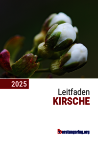 Leitfaden Kirsche