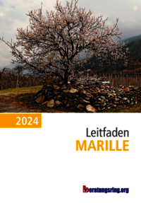 Leitfaden Marille