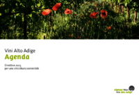 Agenda Vini Alto Adige