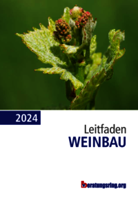 Leitfaden Weinbau