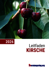 Leitfaden Kirsche