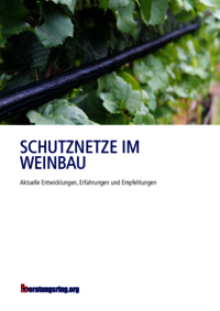 Schutznetze im Weinbau