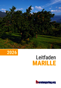 Leitfaden Marille