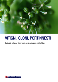 Vitigni, cloni, portinnesti 2a edizione