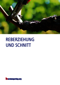Reberziehung und Schnitt 3. Auflage